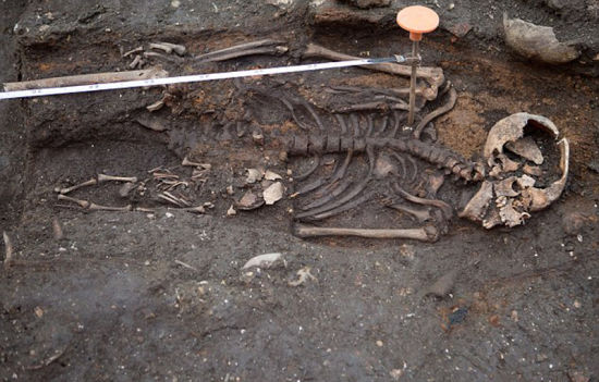 δ�����ܽ���60������ѧ����������п����ھ򡣣���ҳ��ͼ��