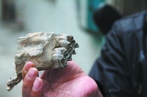 ��־�����ֵ����ݻ�ʯ��