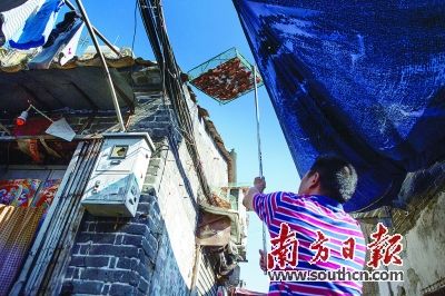 һλ������������ܺã�������һ��ĵ�����ɹϺ