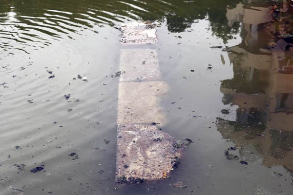 �к��Ƽ�����Ŀ�����ڣ����ʳ��ڳ���ǽ�Ļ�������ʯ��ַ��û�ڻ�ˮ�С��������ż��� ���� ͼ