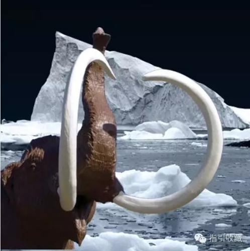 ��ָ���ղء����й��������������о��������Ա��