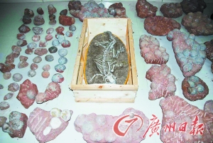 ����������ʯ��