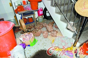 һ���������Ŀ�������ʯ��