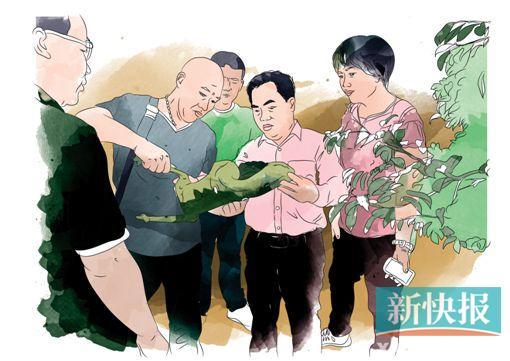 ��ͼΪ�������ڴӻ���������о������ڿ�,�˴�ռ�������Ϊ6000��ƽ����,������ֲ�ĳ��������500���,����1000����,�����ֲ������35����,�����˽����İ�ͷ����ͷ�����ڵȡ�