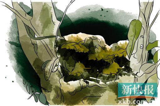 ����������Ȼ�����,Ҳ�����˹�����,���翳�����ɡ����ɴ�ס��������ɵ��ַ���