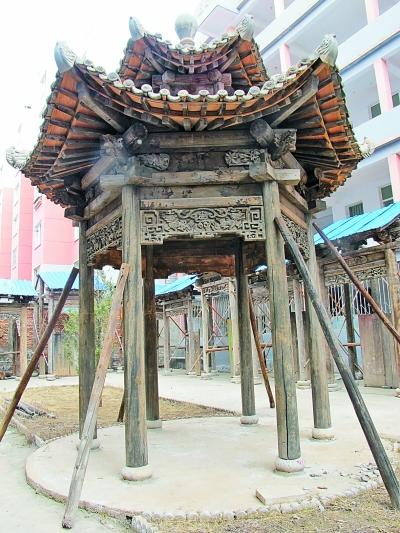 ��Сɽ�ղص�����ͤ��������Ƭ