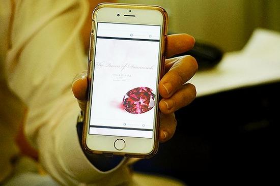 Calleijaչʾ�����б�����غ��ꡣ��Ӱ����С�r