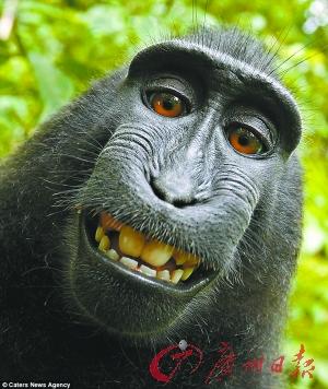 һֻ��������⨺������˻���������