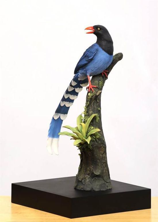 ��̨��ý�屨������Ӣ�Ű칫�ҷ����ʾ��̨����ȵ��̨������Ʒ�֣��׳ơ���βɽ����ڵͺ���ɽ�أ�ʱ���ɼ�̨����ȵ��������Ӱ����ѡ����ѡ��һ����̨����ȵ�����ֹ����������½�쵼�ˡ�