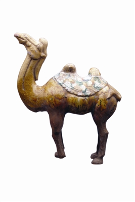 ͼһ ������Ĺ����������