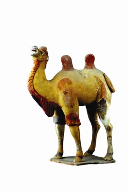 ͼ����¤����Ĺ�۲�����