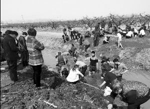 ���������ڹ�Ǯ��