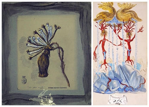 �����߶ࡤ��������ָ壺���ٺϻ�Vivante�� ��Dophins�������㡱.jpg