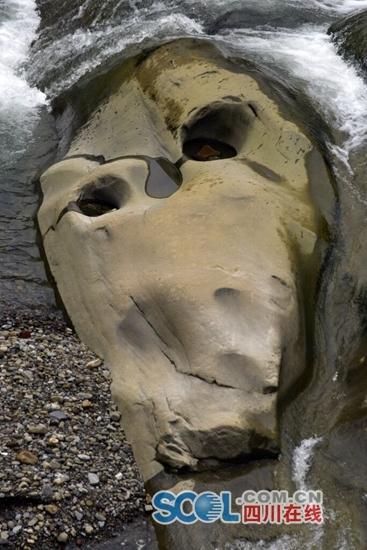 ���ƾ���ͷ��