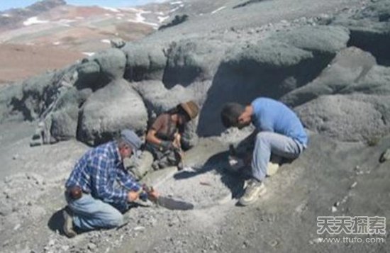 ���ӵ�ɽ�������ػ�ʯ�������������ɵ��