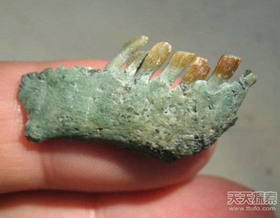 ���ӵ�ɽ�������ػ�ʯ�������������ɵ��