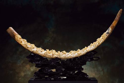 �������������Ʒ