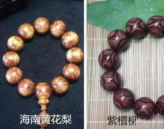 ��̴�����������Ϊ��ð�亣�ƶ����ģ����ƺͺ��Ƽ������ơ��������־��ио���