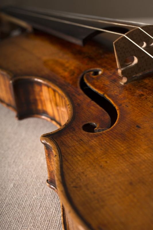 1736���� ������ ������ ��Lafont��С����