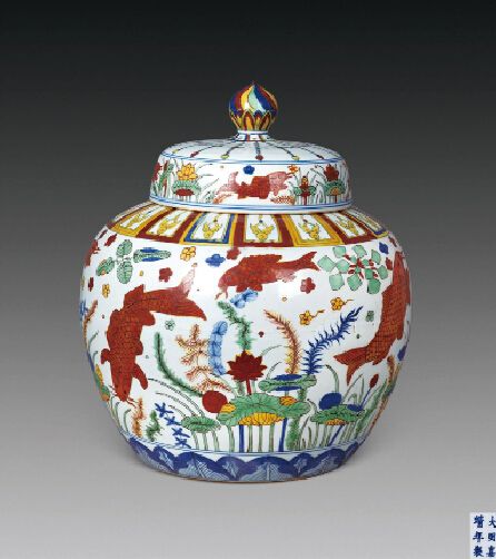 �� ��������Ƹǹ�