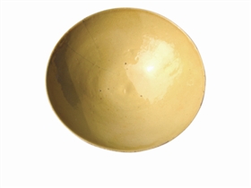 ͼ1 ������֥��ϸС�������ۼ�����Ҥ������