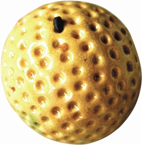 ͼ2 ��֥�黹ϸС��֧���ۼ�