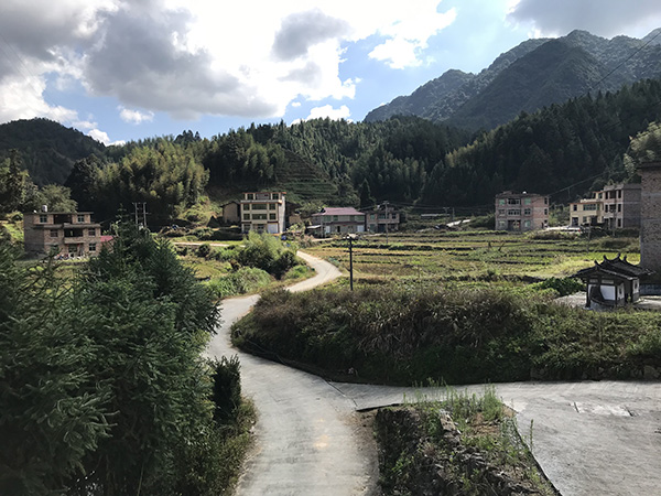 ������һ�� �������ż��� ���ĵ� ��