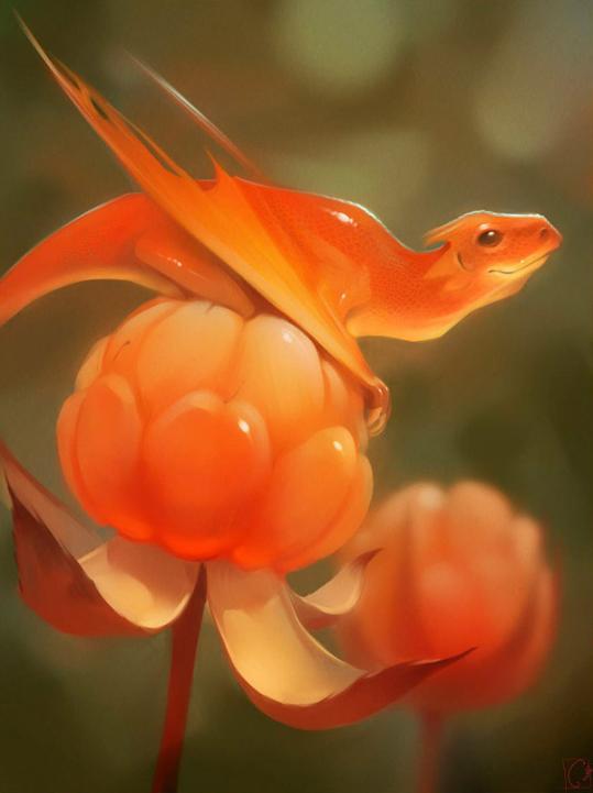 ��ݮ����