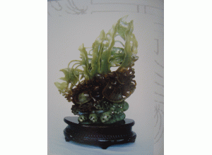 ��������