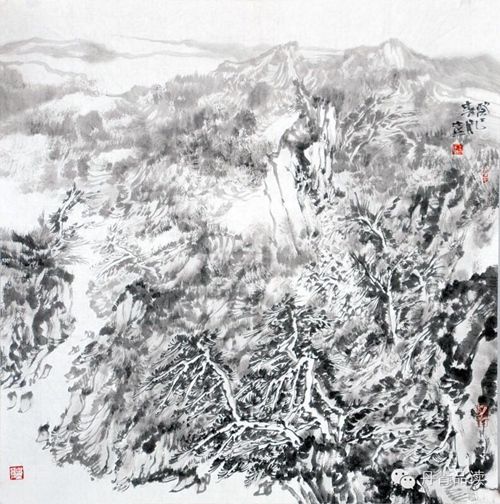 ��ʿ����Ʒ��Ұɫ��