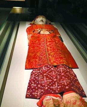 �½�ξ��Ӫ��Ĺ�س�������ʬ