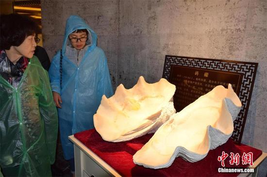 ͼΪ���ں뷨����Ҫ���������ڵع���չ����