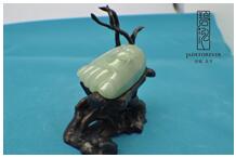 �ھŽ��Ϻ��й���������Ʒչ����