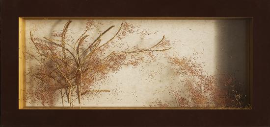 ����װ����Ʒ���Ľ硤������Ƭ��-֮һ