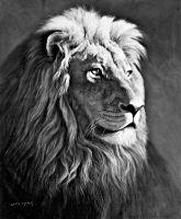 ��������Ʒ��ʨ�ӡ�